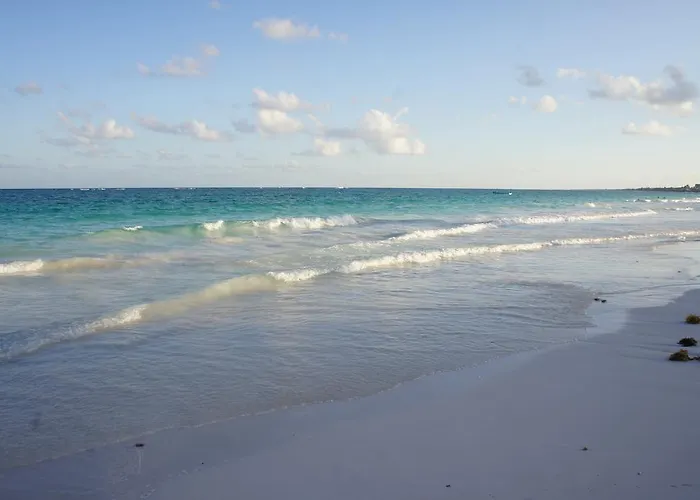 Shambala Eco Playa del Carmen