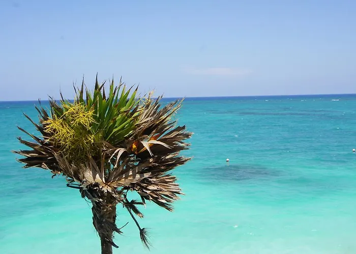 Shambala Eco Playa del Carmen
